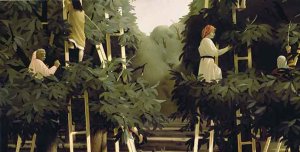 Pyke Koch - The harvest