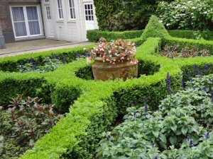 Open Garden Days, Amsterdam, 20-22 June Open Garden Days, Amsterdam, 20-22 June