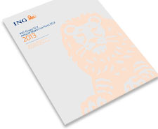 2013 Form 20-F ING Groep N.V.