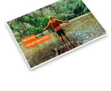 2022 Annual report ING Groep N.V.