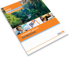 2006 Corporate Responsibility Big Picture Report