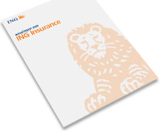 2009 Annual Report ING Verzekeringen N.V. (Insurance)