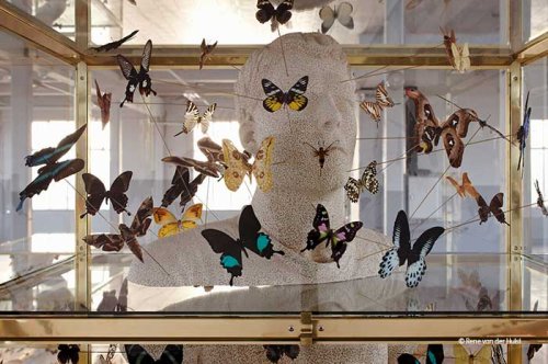 Guido Geelen (1961)<br /> <em>Martijn</em>, 2011<br /> 229 x 85 x 59 cm<br /> Fired clay, brass, glass, butterflies