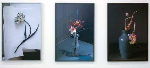 <strong>Loan</strong>: <em>Sculpture Still Life</em>, Elspeth Diederix, 2015<br /> <strong>Loan</strong>: <em>Fluo Tulipa</em>, Elspeth Diederix, 2013<br /> <strong>Loan</strong>: <em>After Jacob Marrel</em>, Elspeth Diederix, 2014<br /> <strong>Loan</strong>: <em>Pink Yellow Blue</em>, Elspeth Diederix, 2014<br /> <strong>Loan</strong>: <em>Diamond & Striped Tulips</em>, Elspeth Diederix, 2013<br /> <strong>Loan</strong>: <em>Frangipani Firework</em>, Elspeth Diederix, 2014<br /> <strong>Loan</strong>: <em>Avila Beach Flower</em>, Elspeth Diederix, 2015<br /> <strong>Title of exhibition</strong>: <em>De tuinen van Elspeth Diederix</em><br /> <strong>Location</strong>: Stedelijk Museum Schiedam<br /> <strong>Period</strong>: 23 June 2018 - 30 September 2018<br /> <strong>Link</strong>: <L CODE="C04">https://www.stedelijkmuseumschiedam.nl/tentoonstelling/de-tuinen-van-elspeth-diederix/</L>
