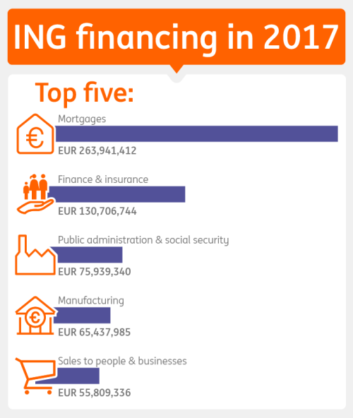 Table ING financing in 2017