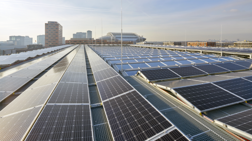 Solar panels on Cedar’s roof.