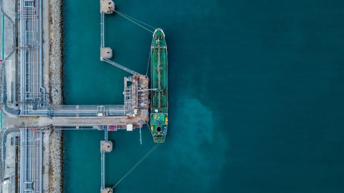 Outlook for the Dry-Bulk and