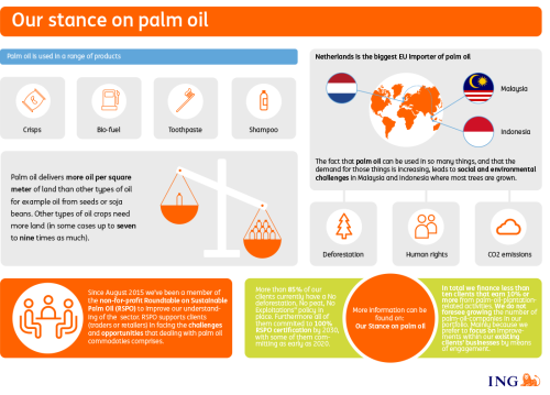 infographic: Our stance on palm oil