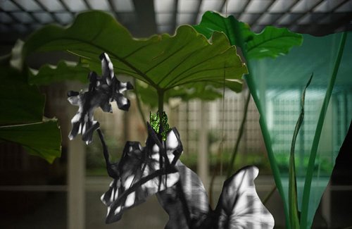 Caio Reisewitz (1967) <br /><em>Casa Rino Levi C</em> (2016)<br />100 x 66 cm <br />C-print mounted on Diasec