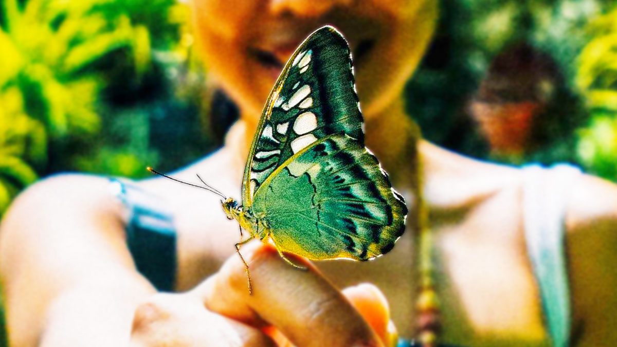 Sustainability Due Diligence: the case for an EU approach
