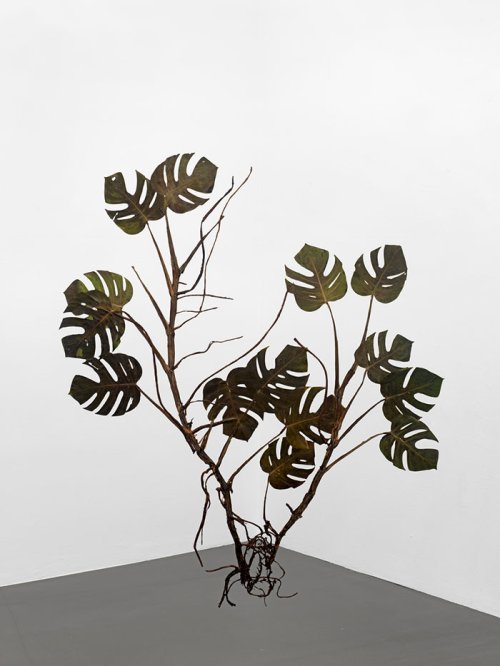 Julius von Bismarck (1983) <br><em>I like the flowers (Monstera deliciosa)</em>, 2017 <br>166 x 143 cm <br>Pressed and dried plants, mounted on stainless steel plates