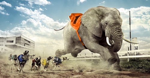 increasing the pace of innovation
