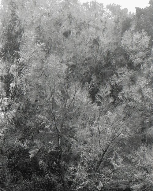 <strong>Loan</strong>: <em>#373-7, Awoiska van der Molen</em>, 2015<br> <strong>Title of exhibition</strong>: <em>Blanco</em><br> <strong>Location</strong>: FOAM, Amsterdam<br> <strong>Period</strong>: 21 January – 3 April 2016<br> <strong>Link</strong>: <L CODE="C01">https://www.foam.org/nl/museum/programma/awoiska-van-der-molen</L>