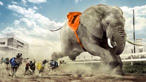 ING CEO Ralph Hamers addresses Money 20/20 Europe conference