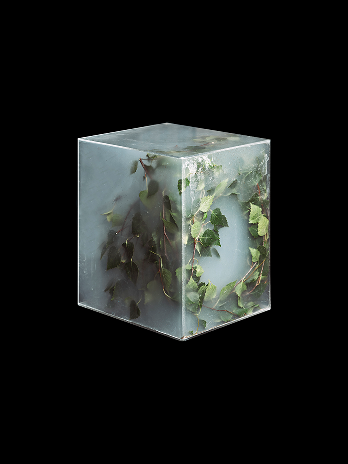 Tropospherical Forecast, from the series Nature Like Capital, 2018 - Jaakko Kahilaniemi (1989) - Pigment Print