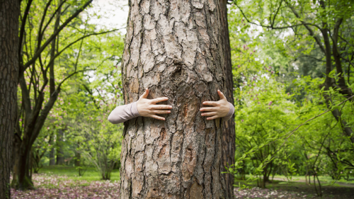 It’s easy to be ground down by the daily news about sustainability.