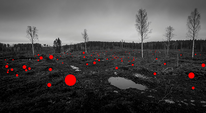 100 Mistakes Made By Previous Generations, from the series 100 Hectares, 2017 © Jaakko Kahilaniemi